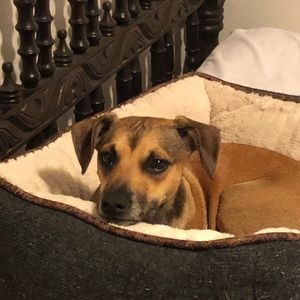 Meet your Posher, Vanessa